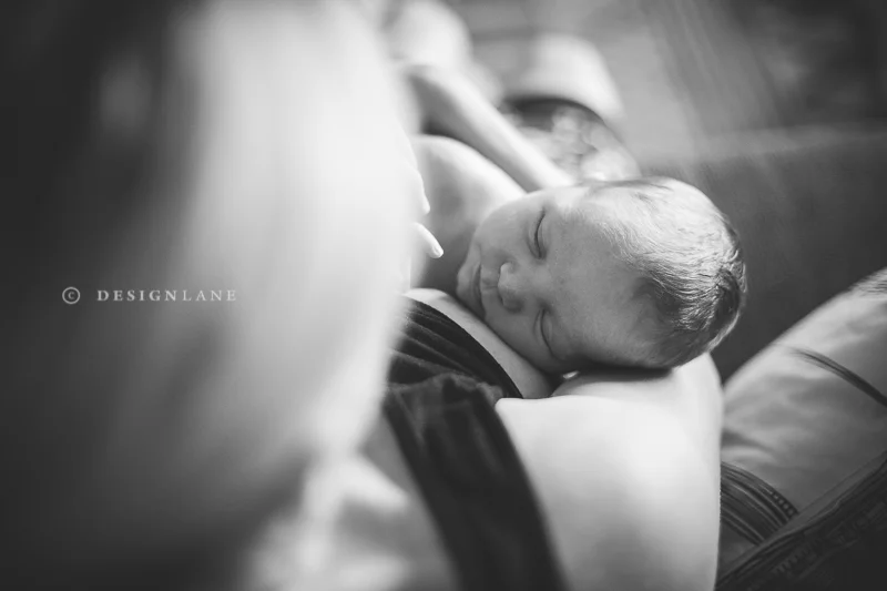 ollie-2.jpg
