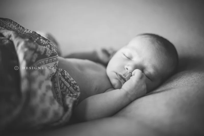 ollie-28.jpg