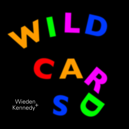 WILD-CARDS.gif