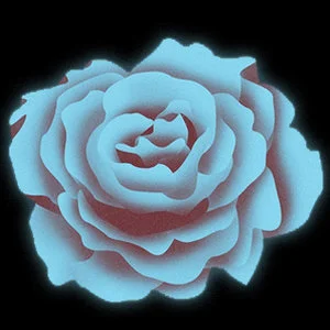 ROSE.jpg