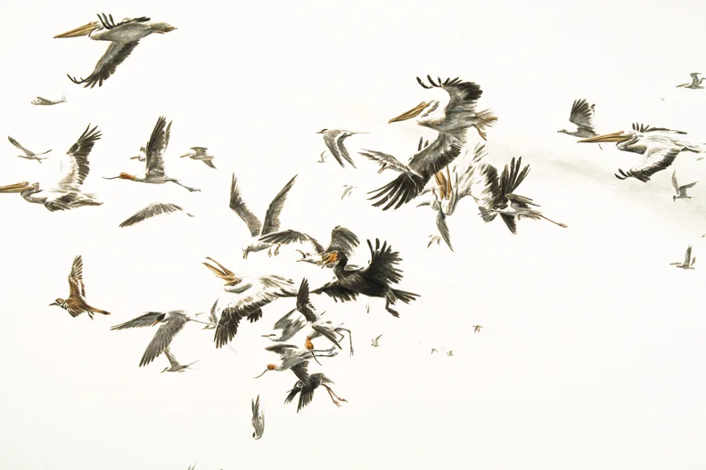 Salton (detail)