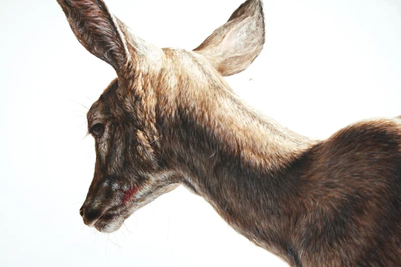 Murmur (detail)
