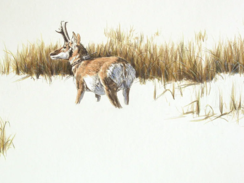 Wyoming (detail)