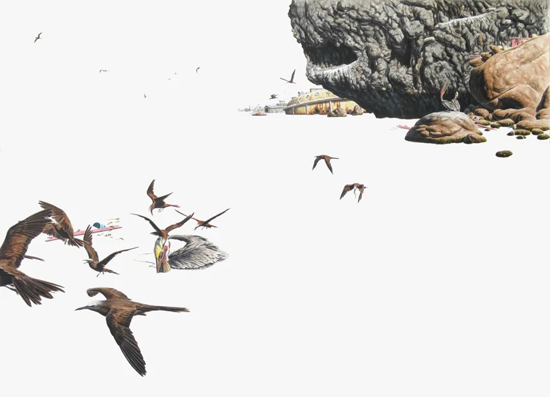 Brown Noddy 30"X44" ink on paper 2006