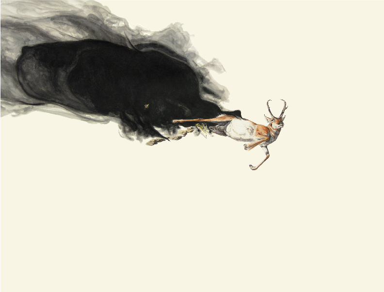 Pronghorn 38"X50" ink on paper 2008
