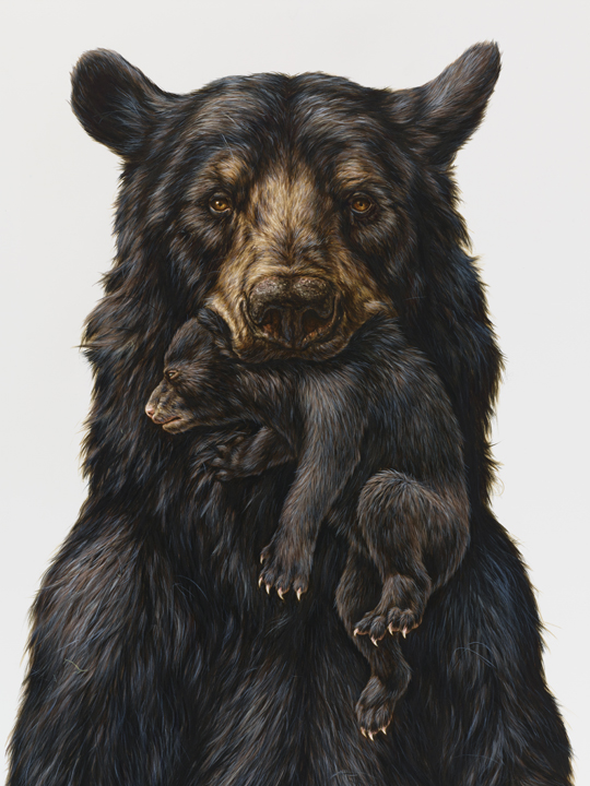 Appalachian (detail)
