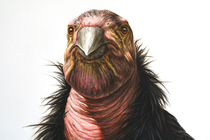 California (detail)