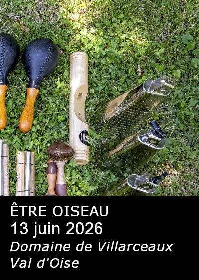 ÊTRE OISEAU 