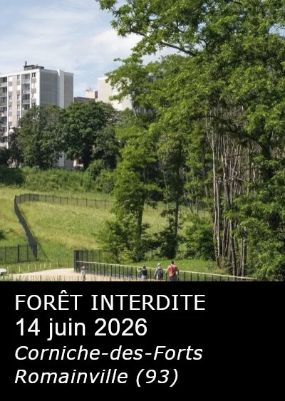 FORÊT INTERDITE