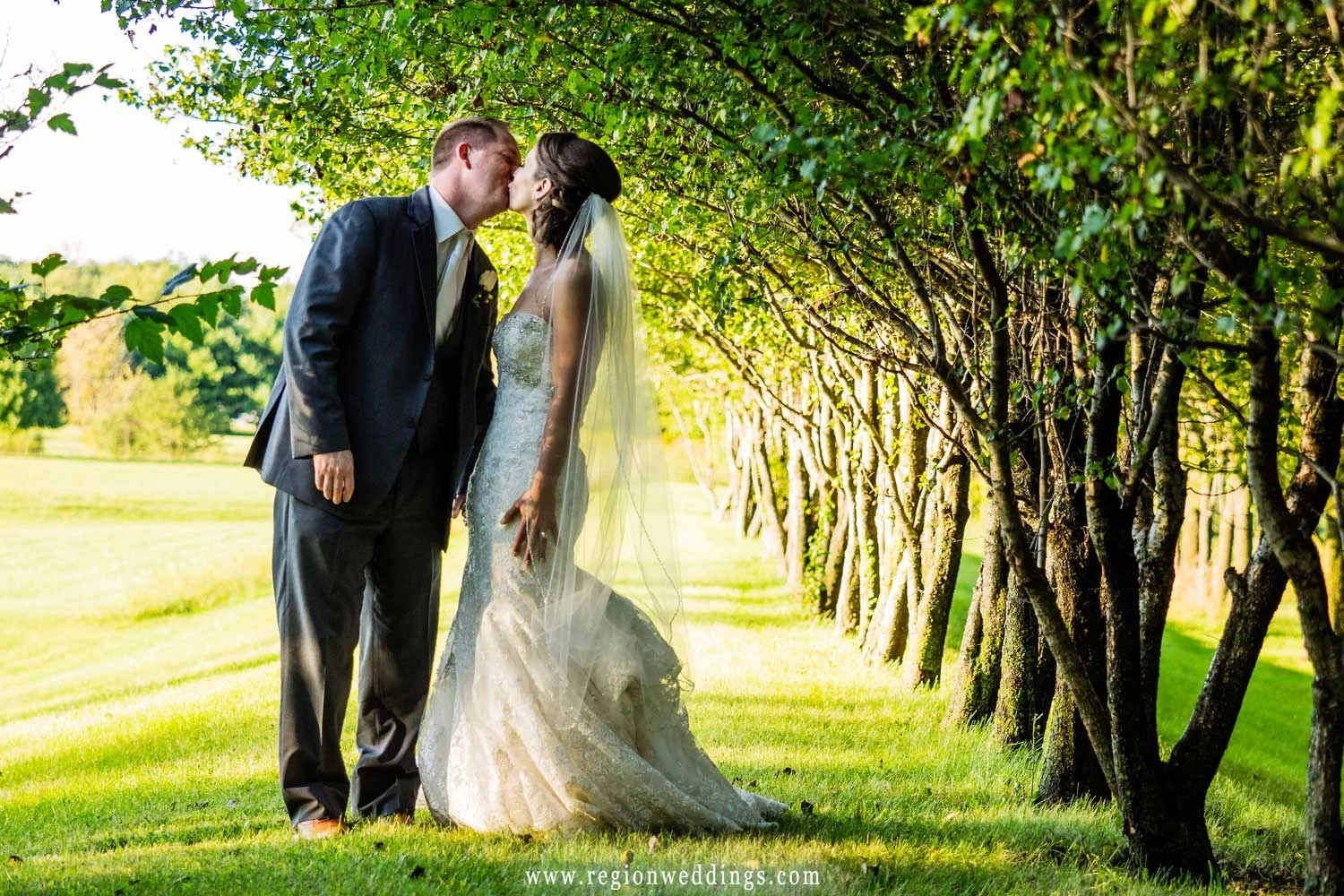 The bride and groom kiss in the shade of a row of trees.