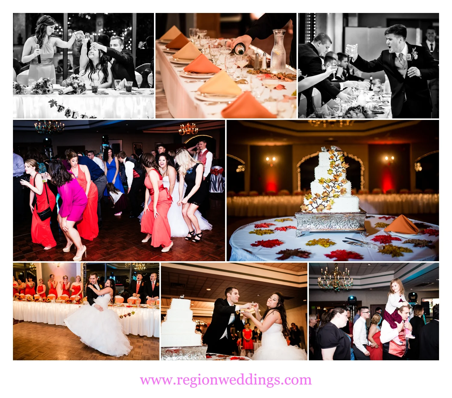 Wedding reception at Cloister In The Woods in Munster, indiana.