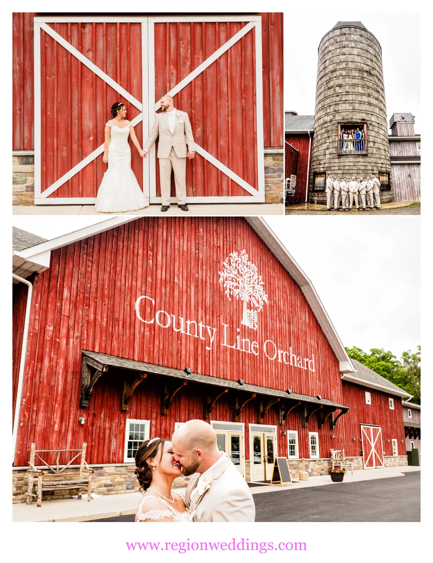 Fun wedding photos at County Line Orchard in Hobart, Indiana.