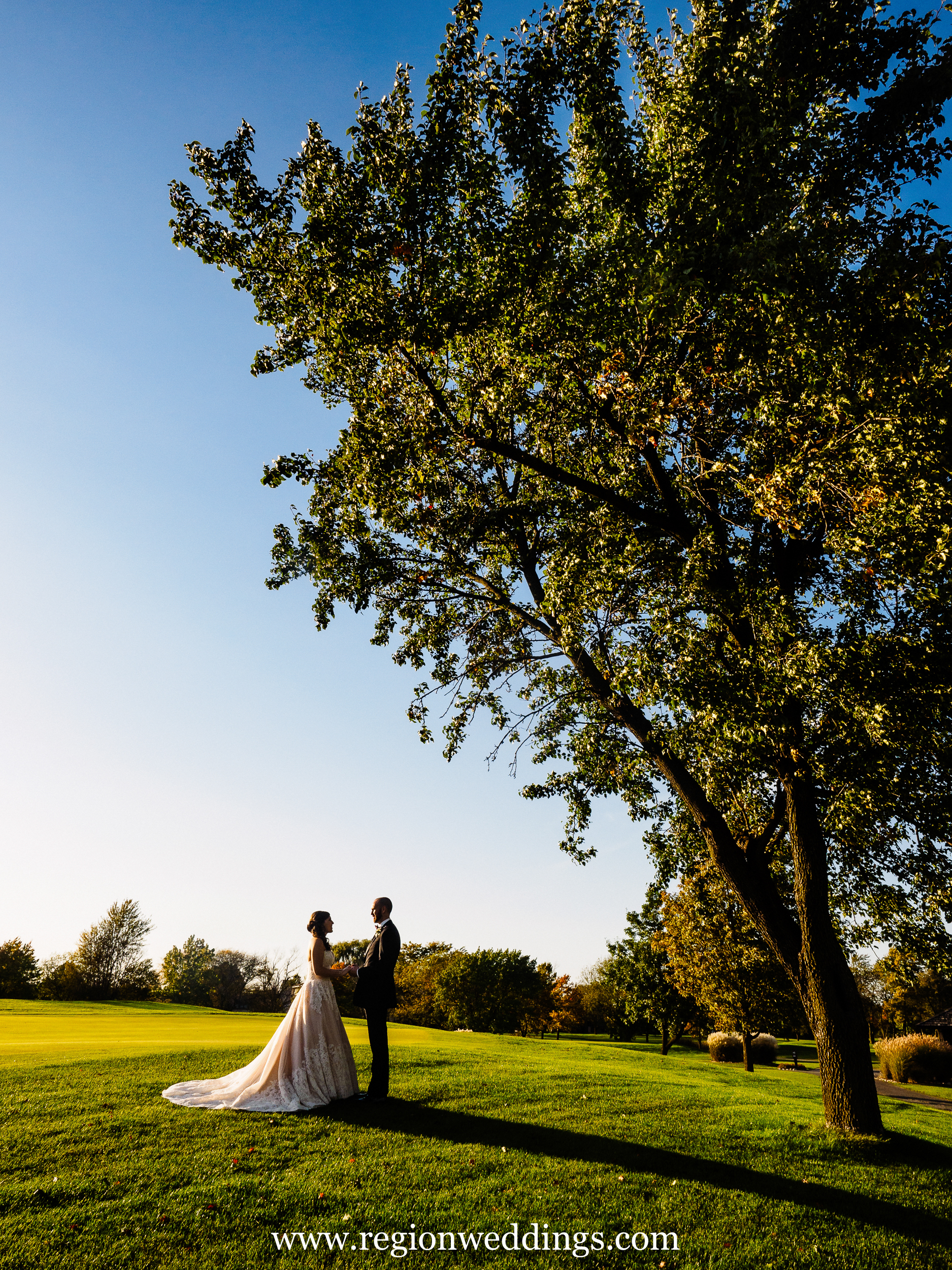 Bride and groom under a tree at Briar Ridge Country Club in Dyer, Indiana.