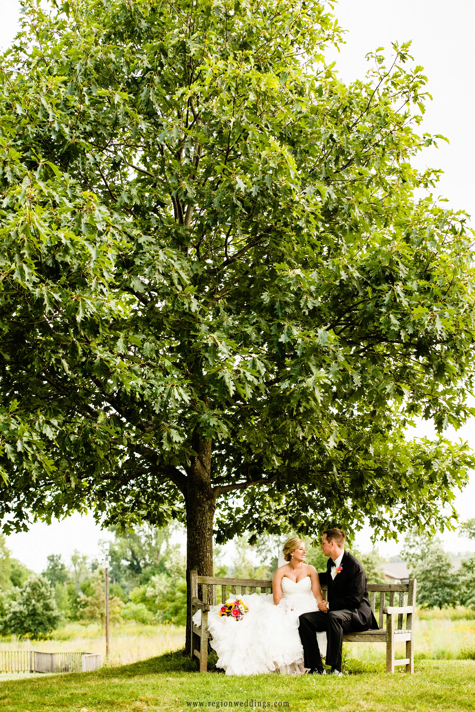 Bride and groom under a big tree at Coffee Creek Nature Preserve.