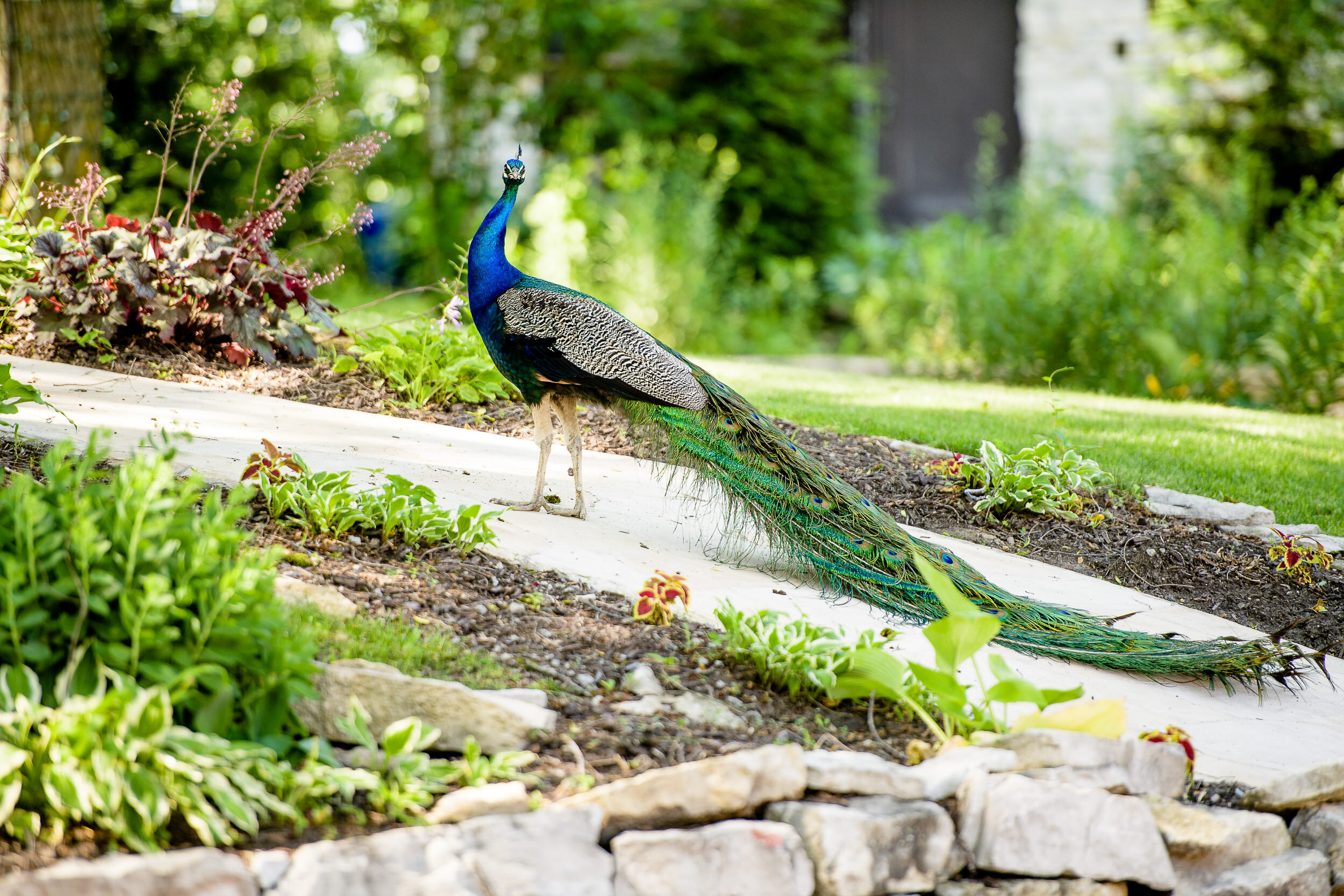 Meyer's Castle Wedding Venue - Chicago &amp; Northwest Indiana Wedding Photographer Region Weddings