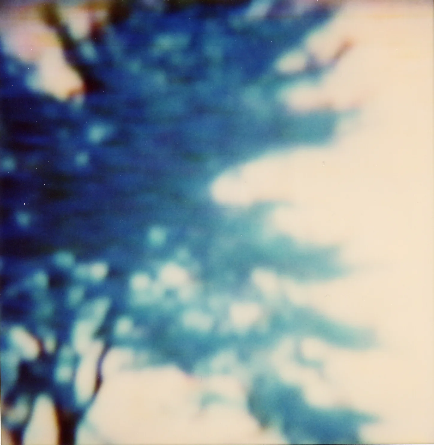 The Blue Tree