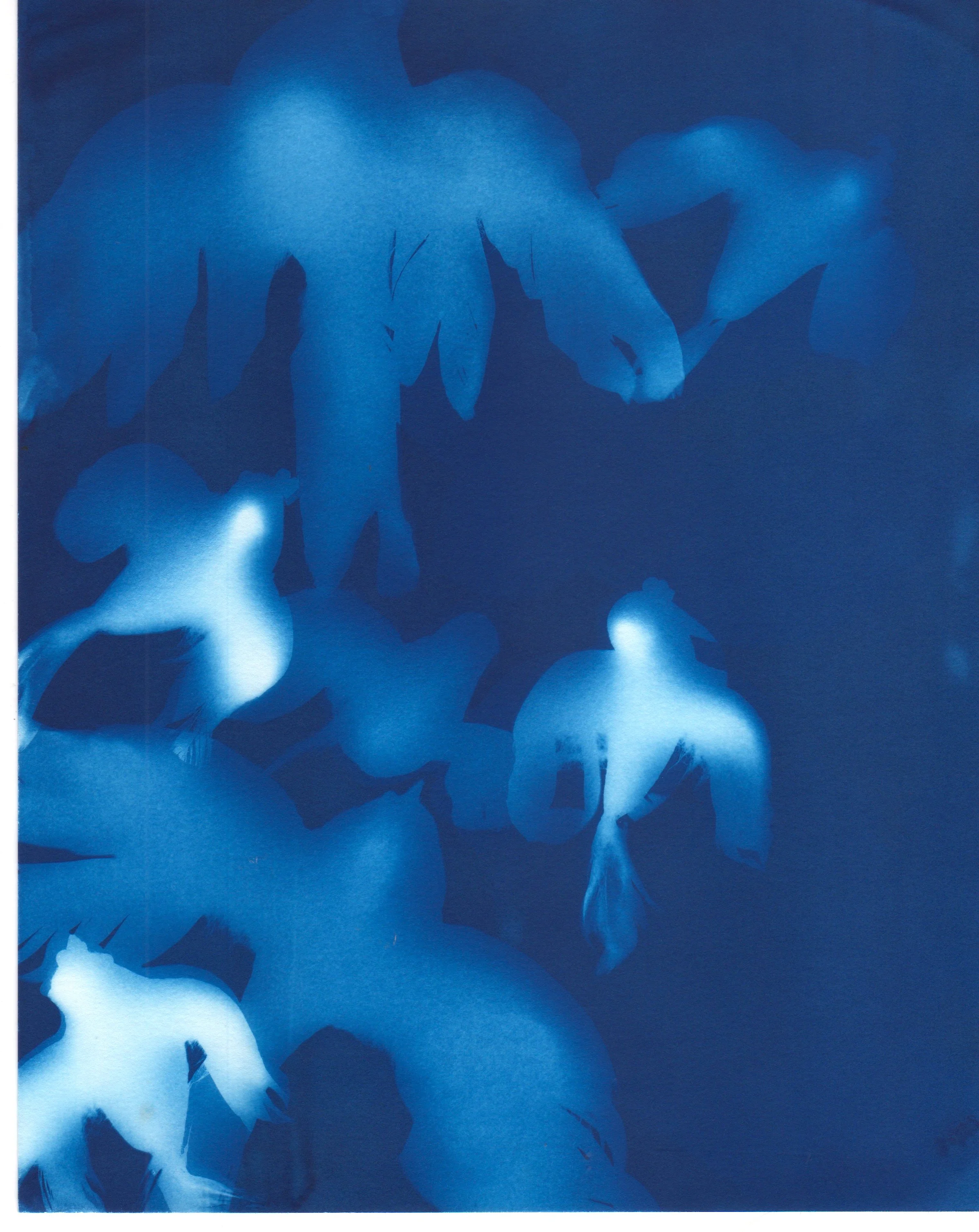 Flying Birds 3