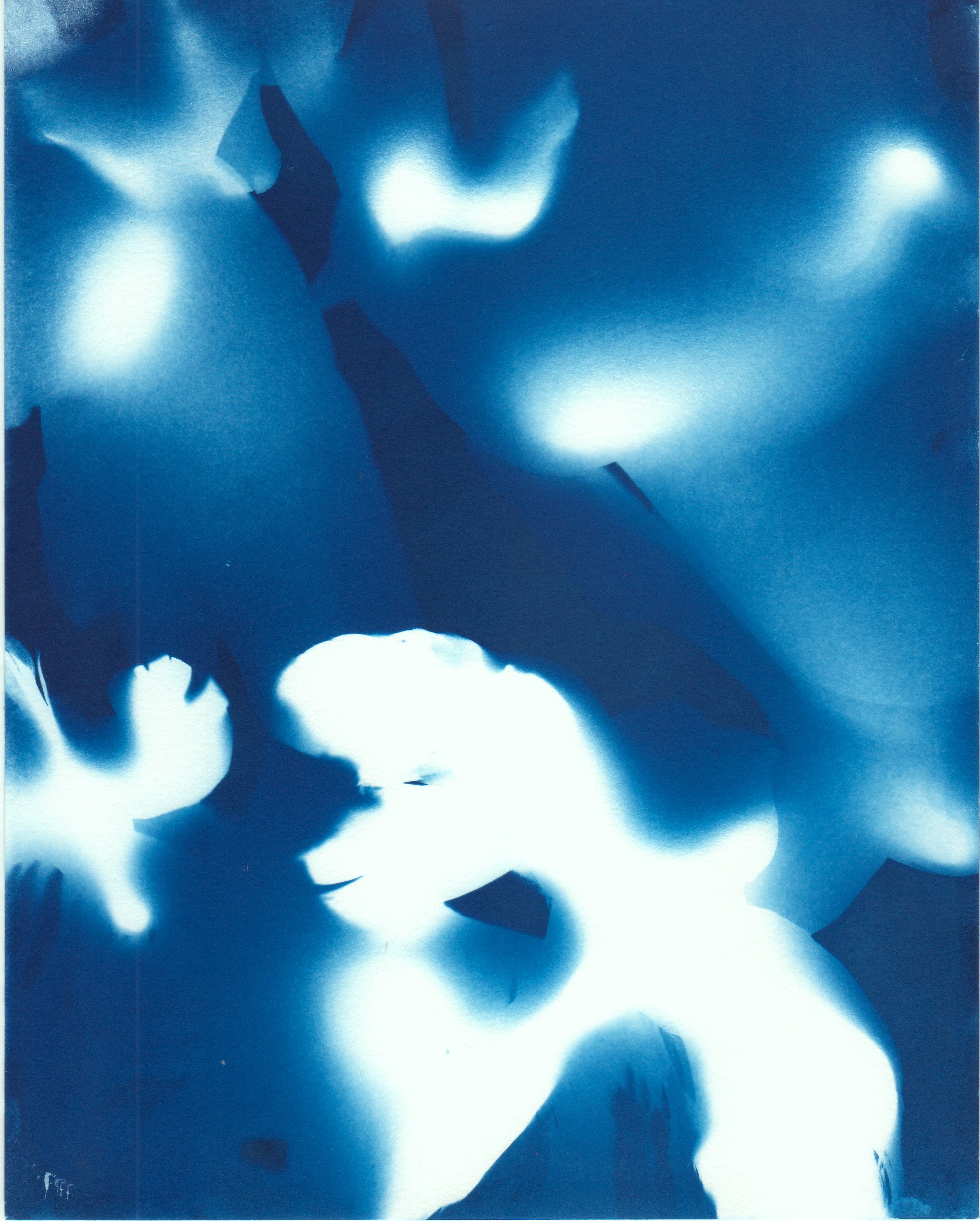 Flying Birds 5