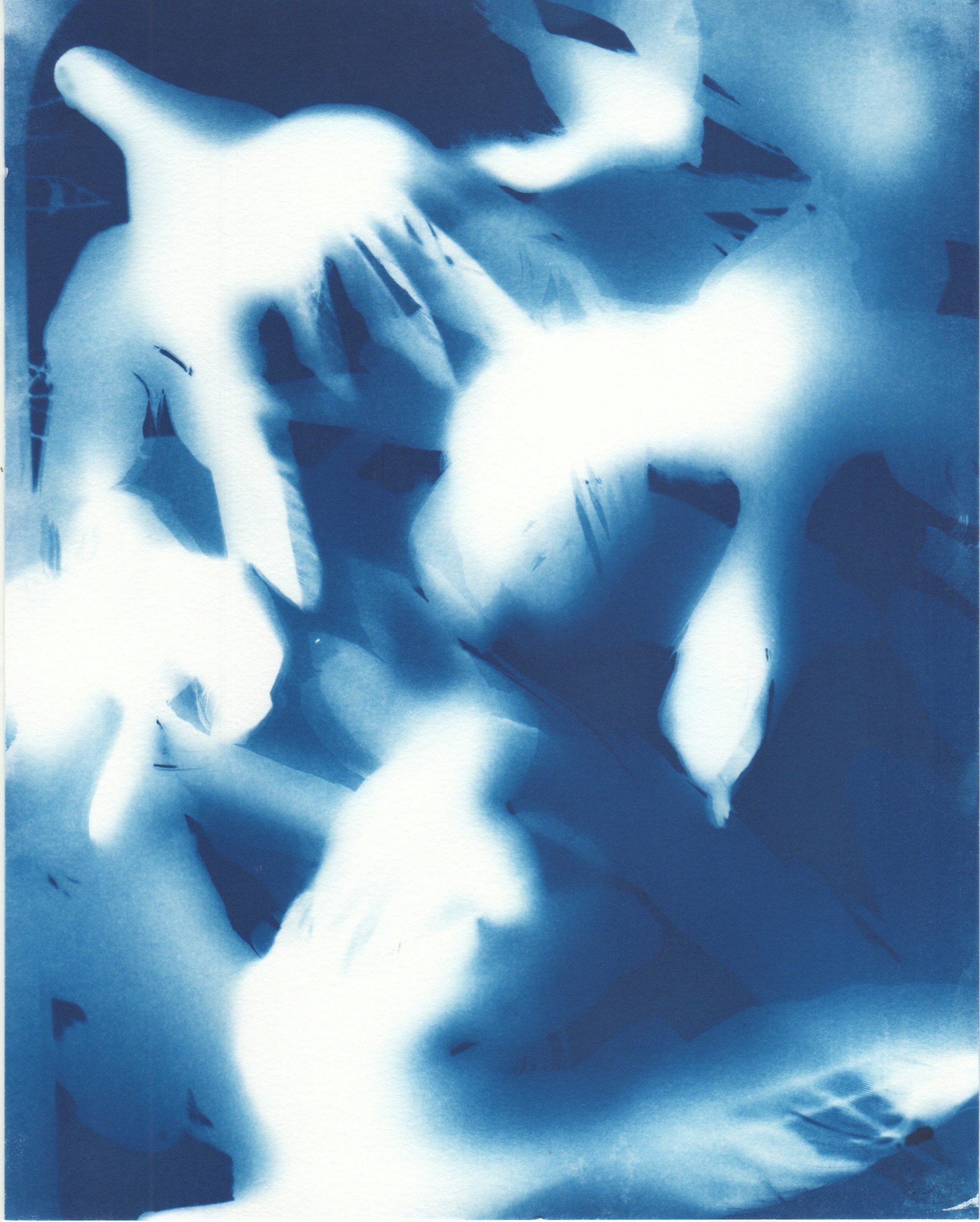 Migration 2