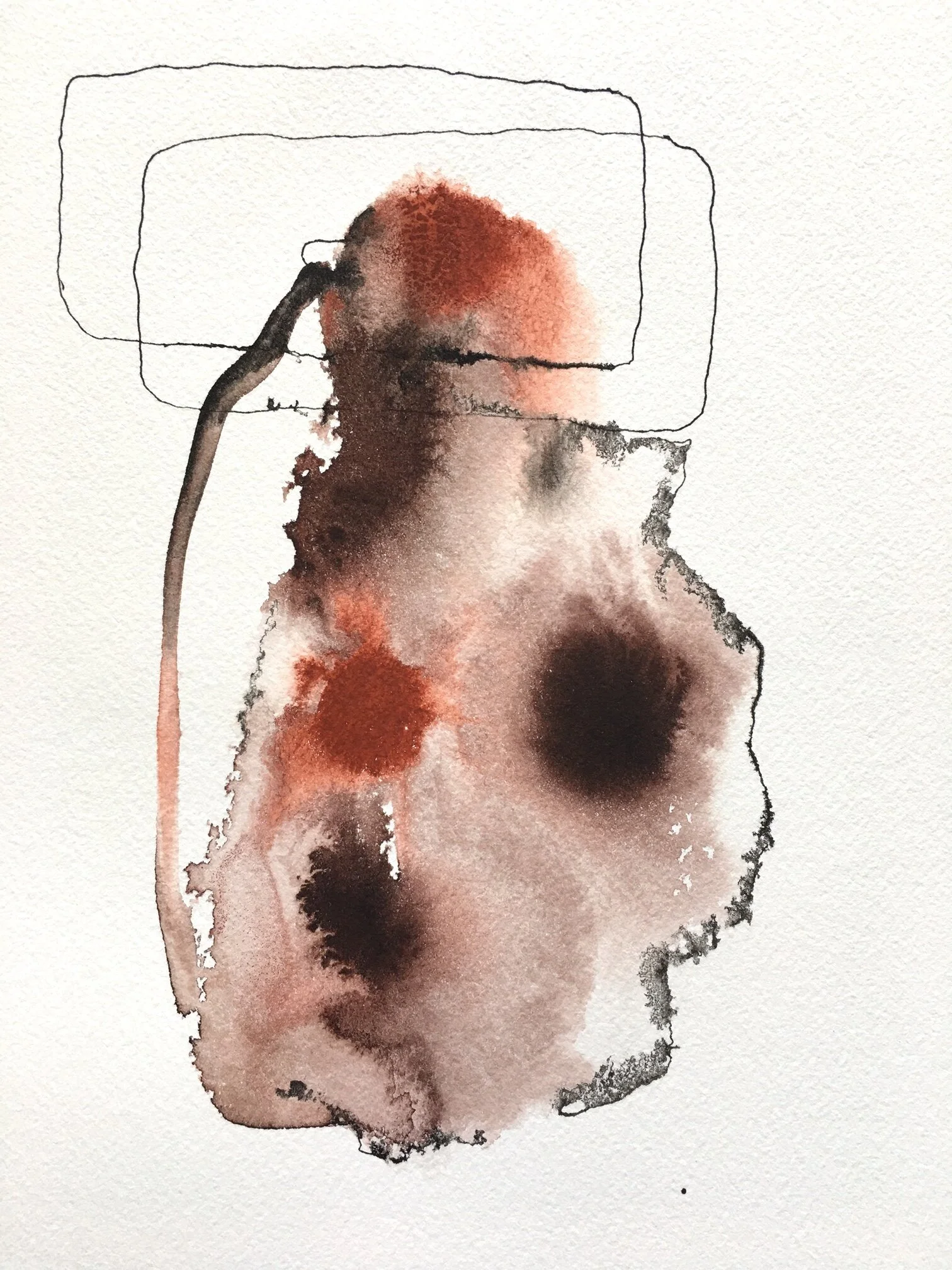 The Arbitrary Nature of Borders, untitled