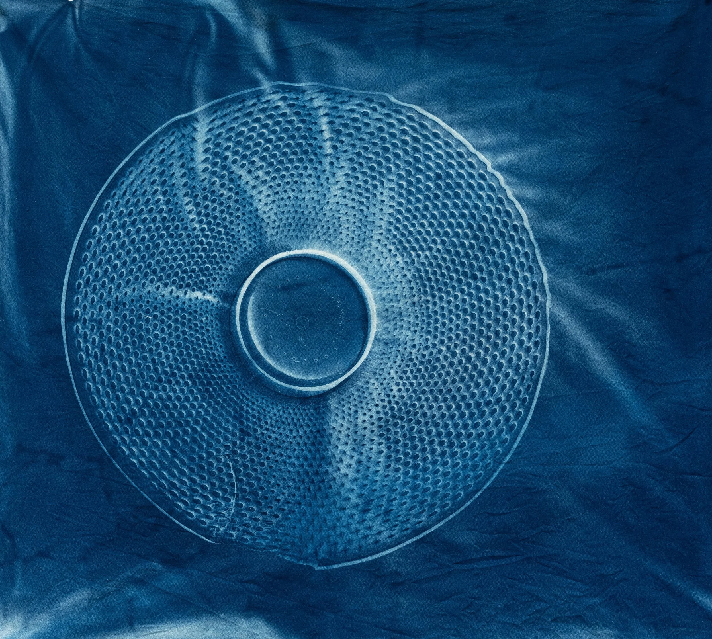   Radial , detail, 2025, cyanotype on upcycled linen and cotton, approximately 6’ H x 14’ W  photo by Barbara Weissberger   