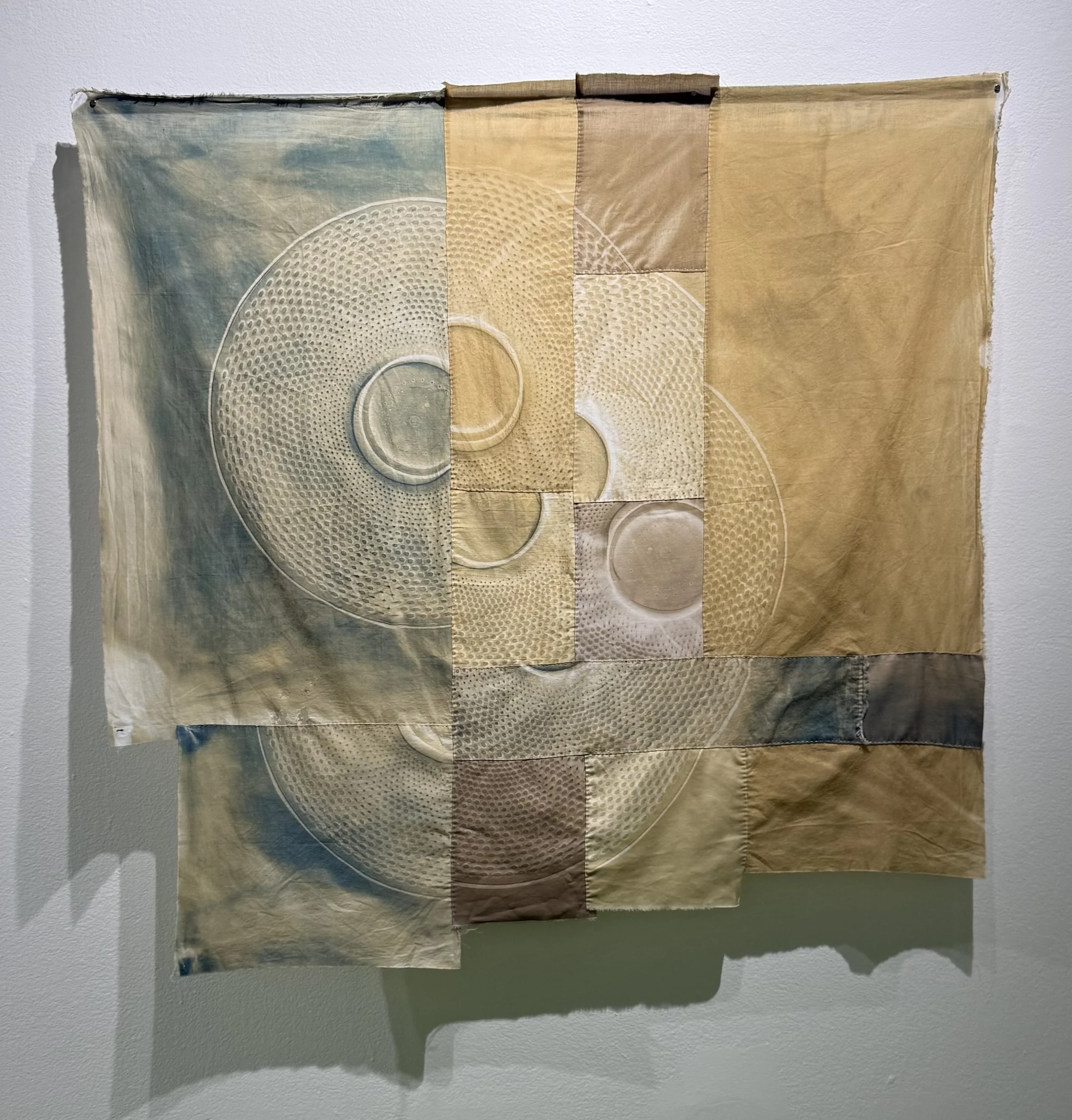   Nautilus,  2025, bleached and coffee-dyed cyanotypes on repurposed cotton, approximately 39” H x 40” W&nbsp; 