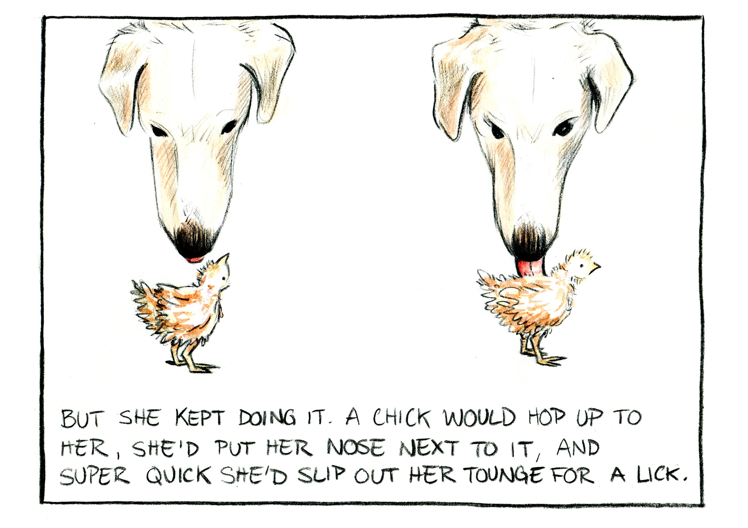"Chicken Mama" Panel 11. Watercolor and pencil on Paper.