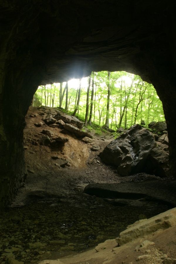 CAve.jpg