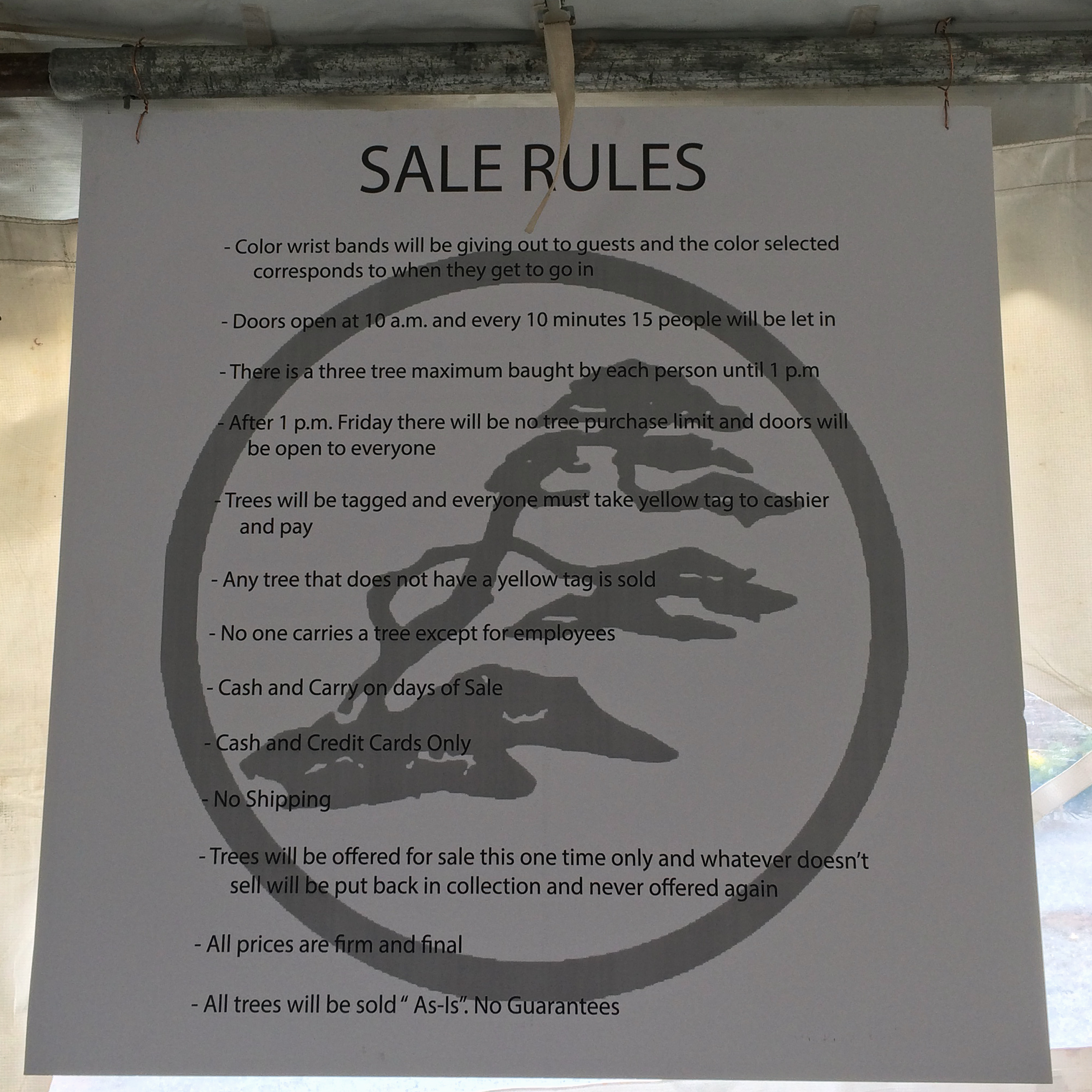 The Rules...