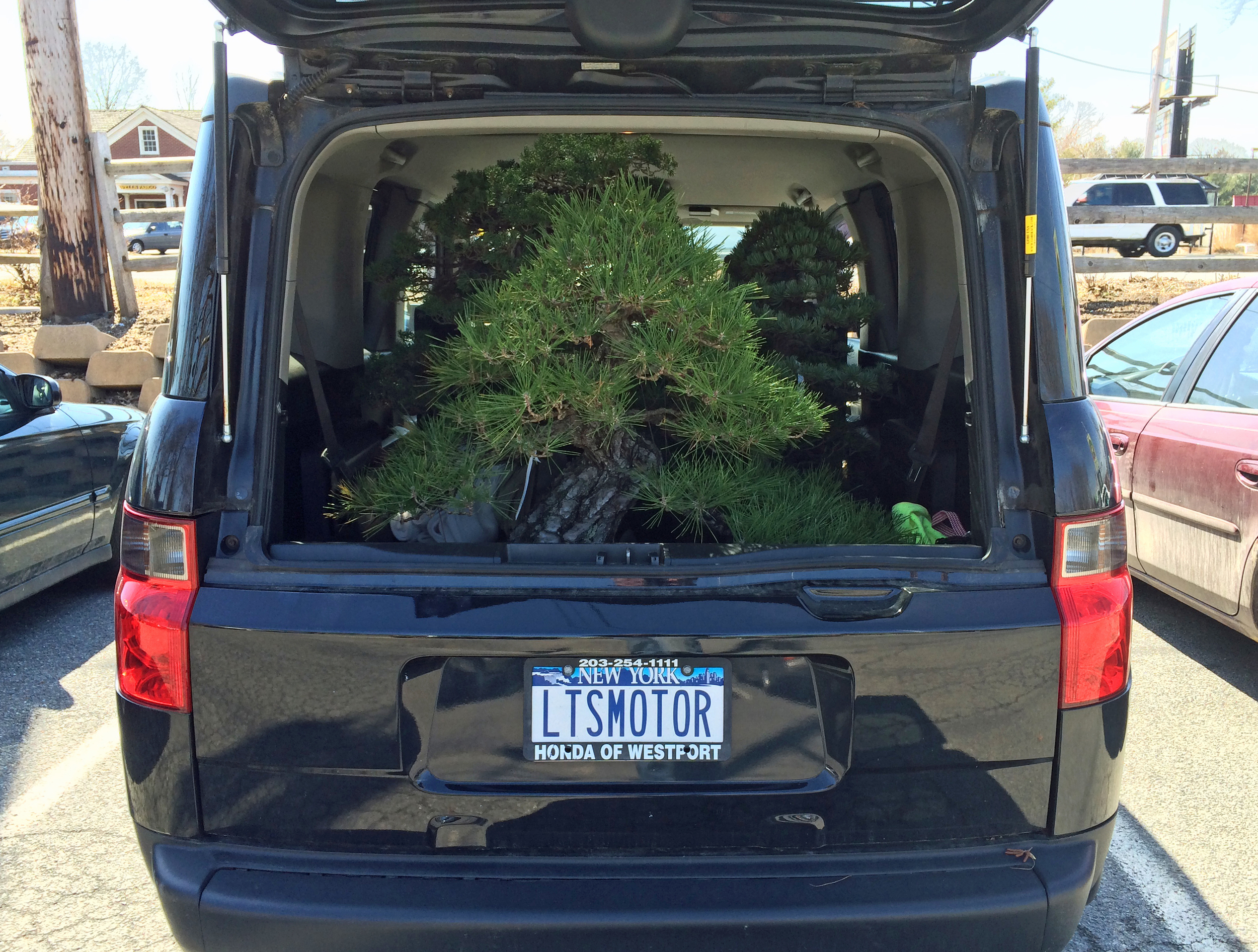 We're going to need a bigger truck...