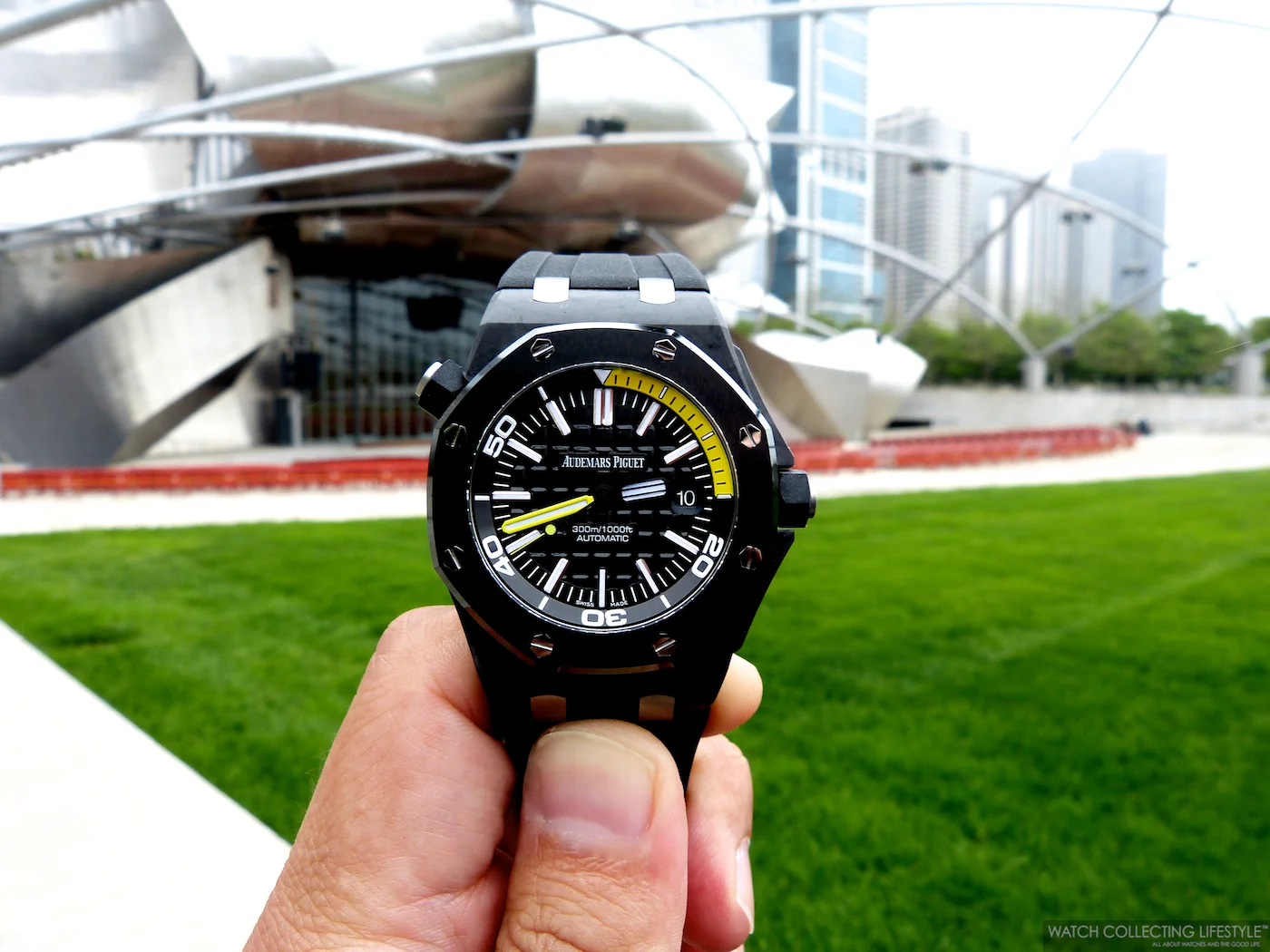 ap carbon diver