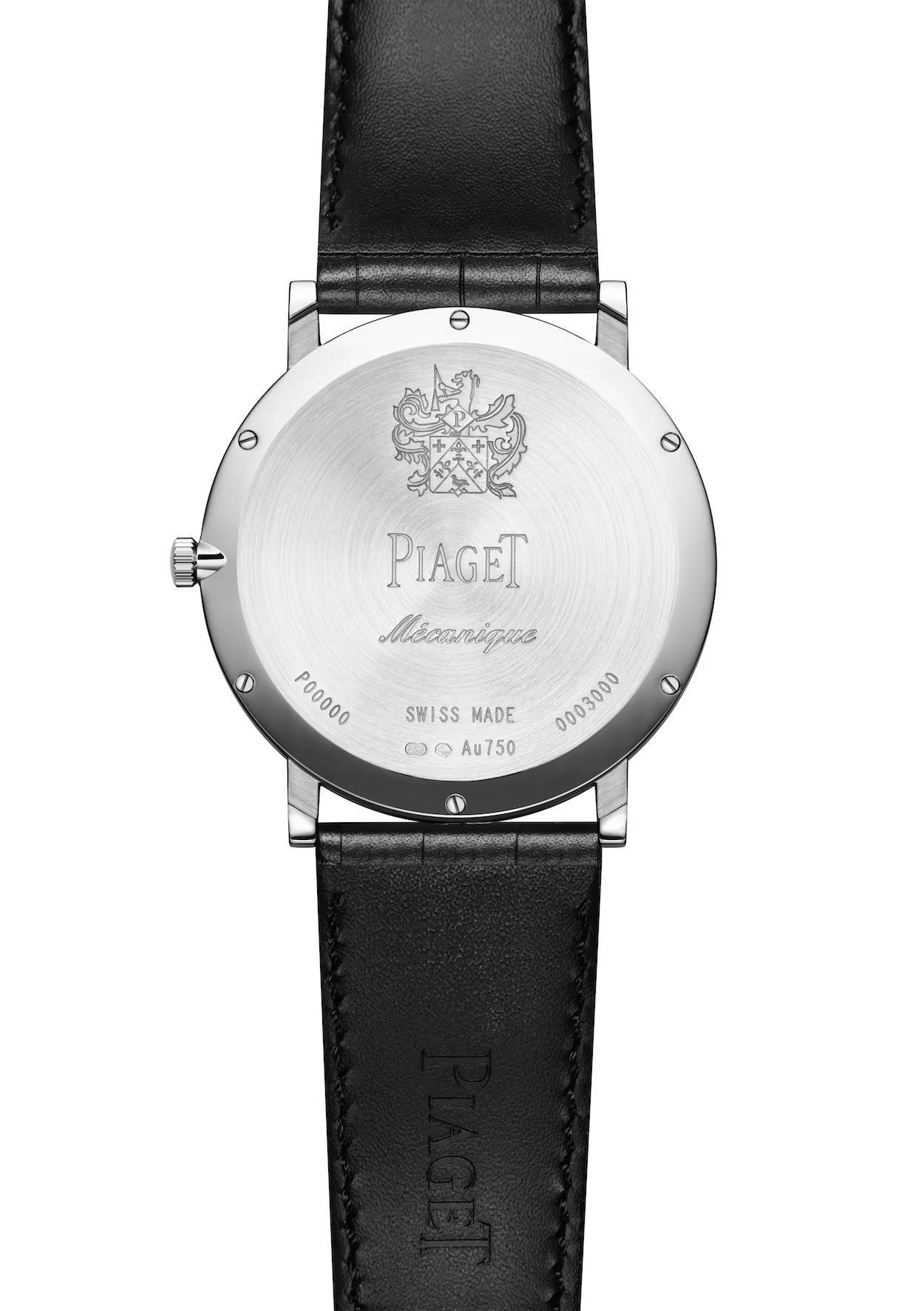P900CASEBACK.jpg
