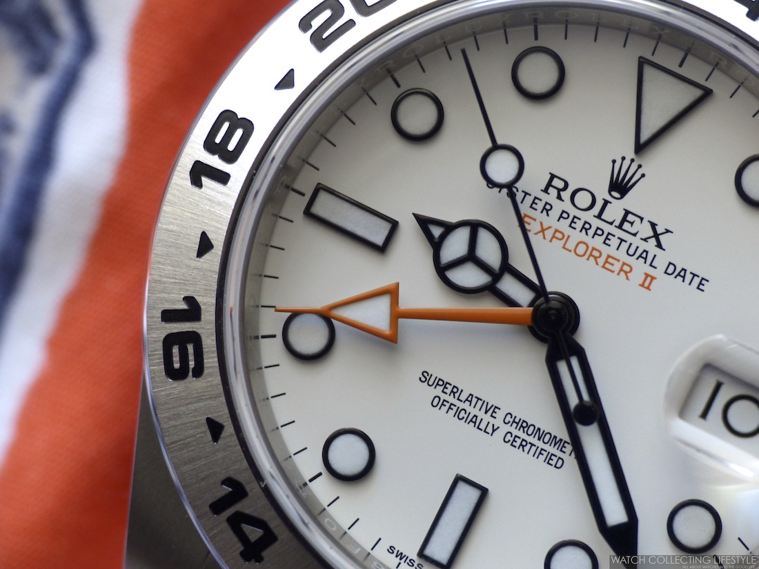 polar bear bezel rolex