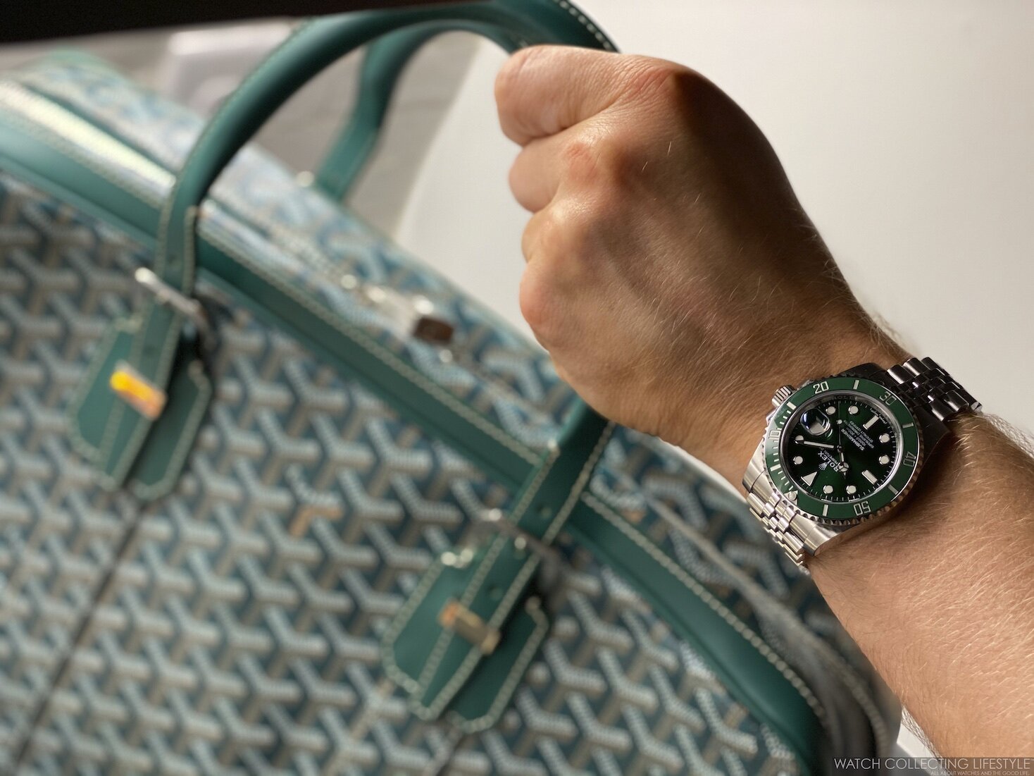 Goyard Green Double Travel Watch Case - SAVIC