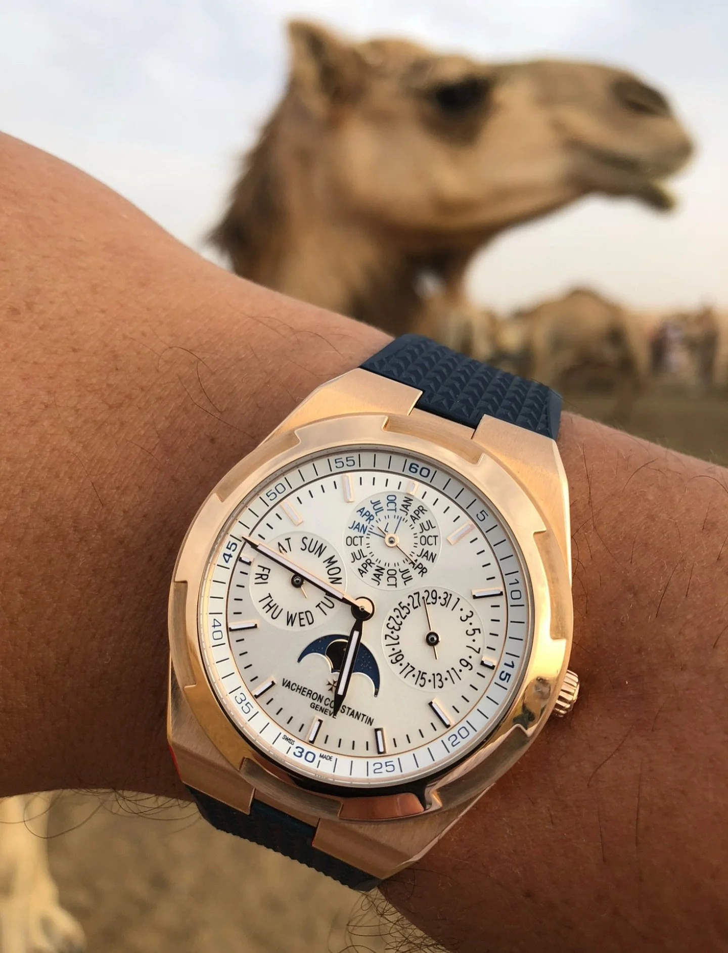 Even the camel was in awe. 🐪🐪🐪 @vacheronconstantin for the win. #vacheronconstantin #vacheronoverseas #watchcollectinglifestyle