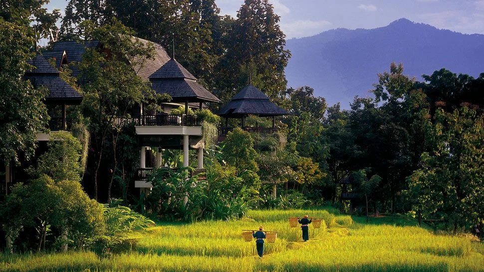 003495-02-villa-exteriors-jungle-view.jpg