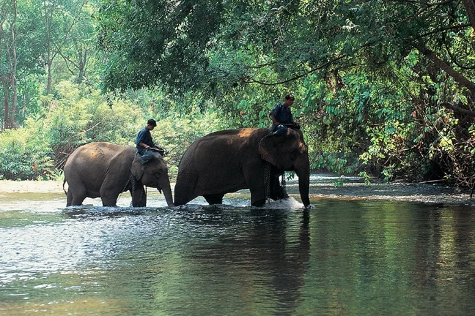 Chiang-Mai-Thailand.jpg