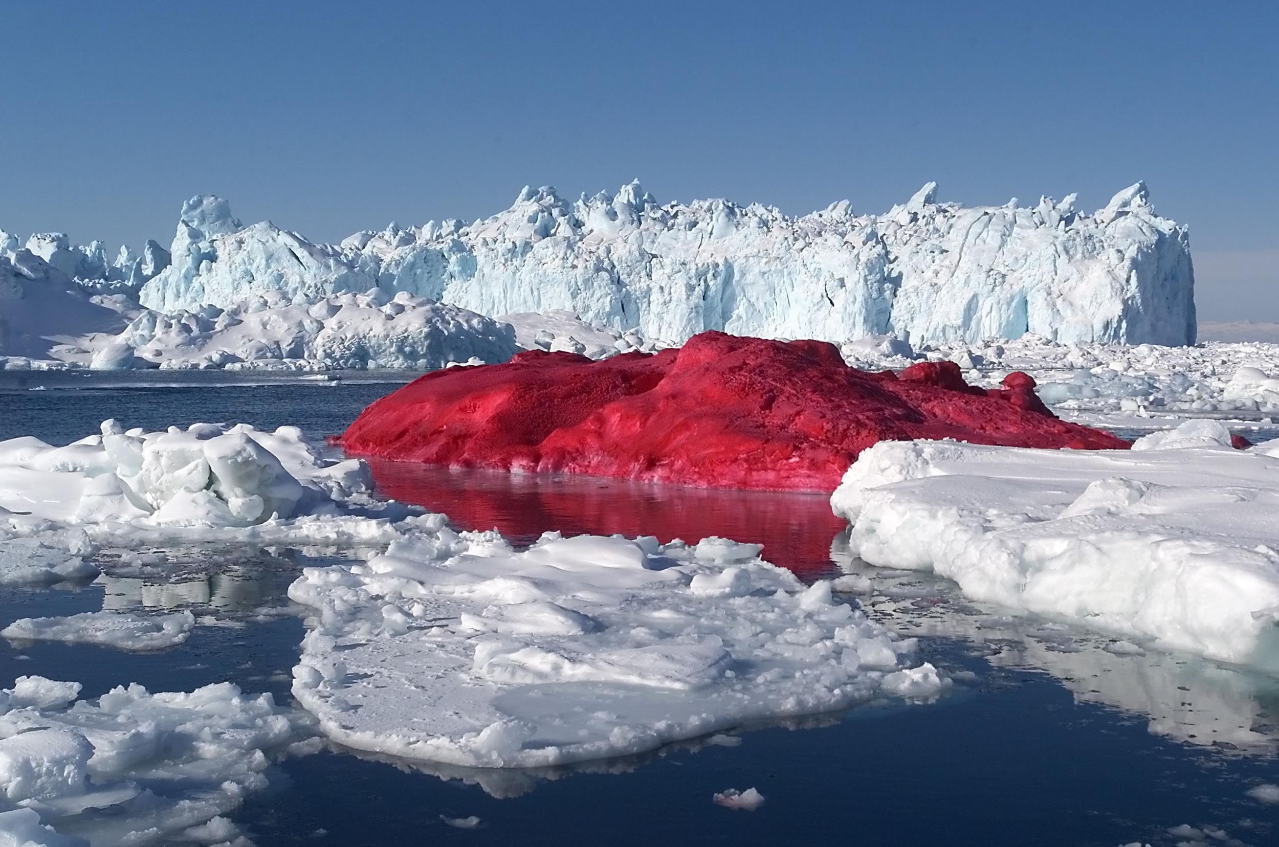 Naturally occurring Pink Icebergs — Caroline Oliver