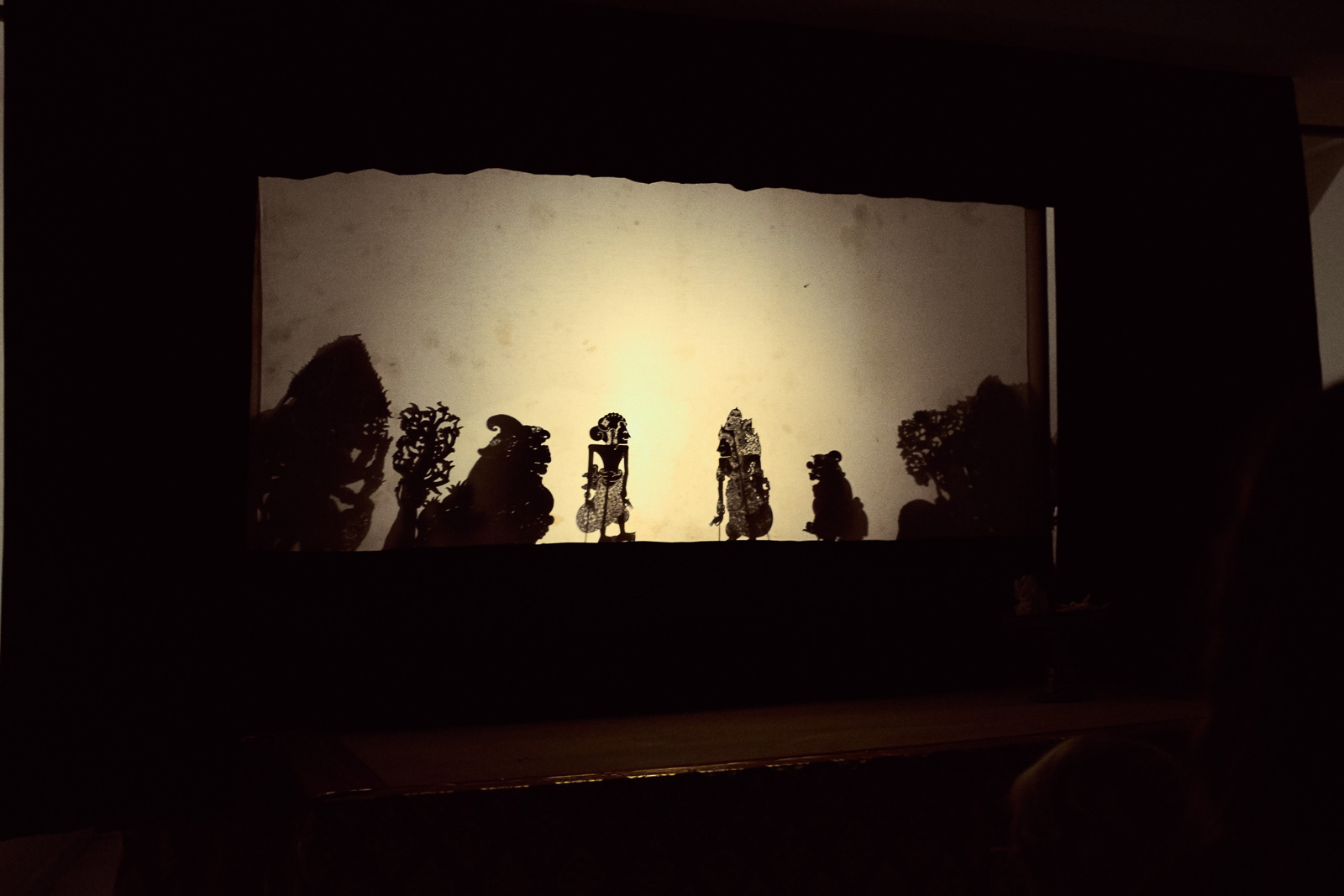 Shadow puppet theatre