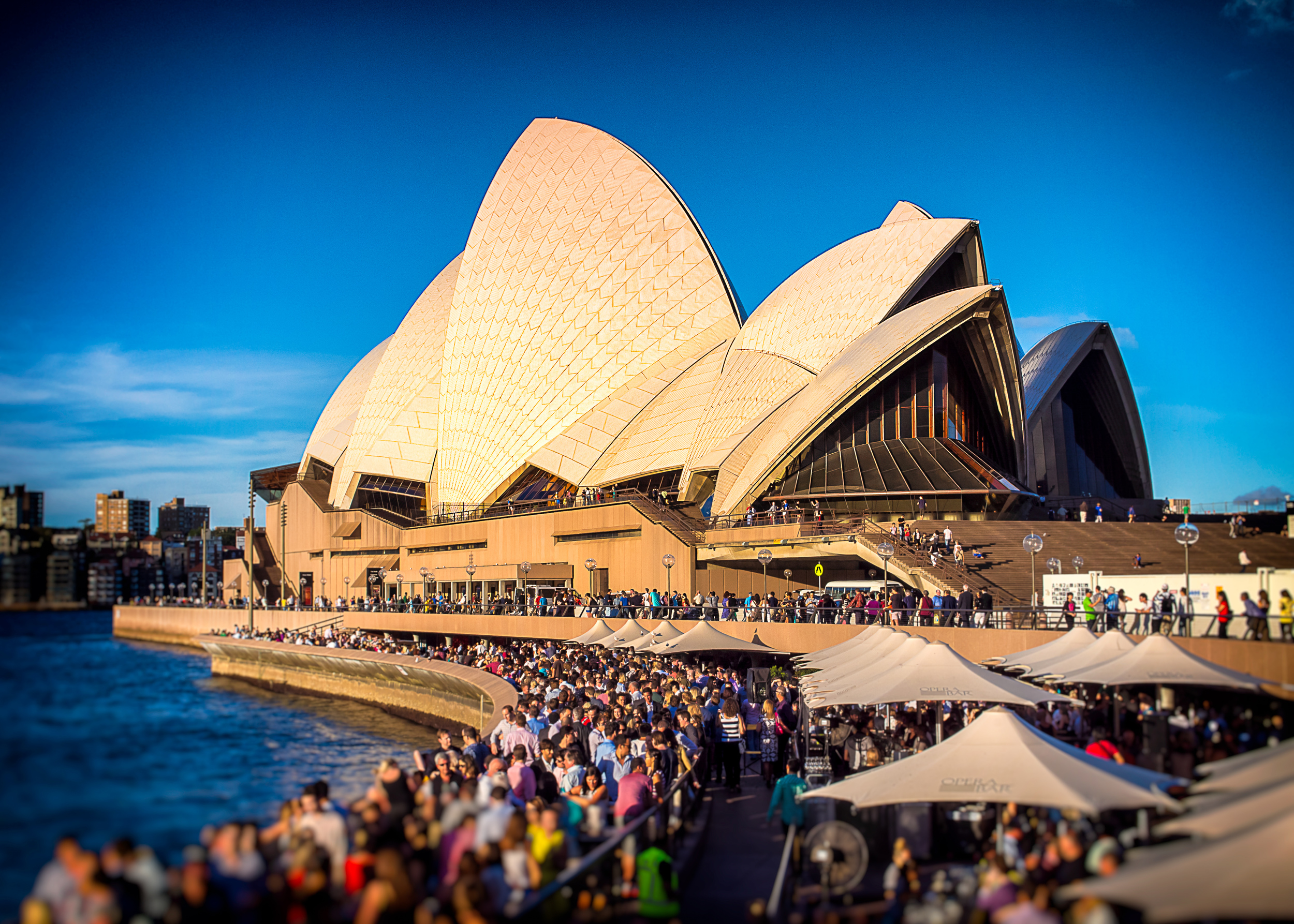 "Evening At The Opera House"