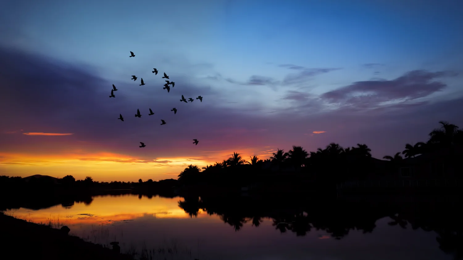Sunset Flight