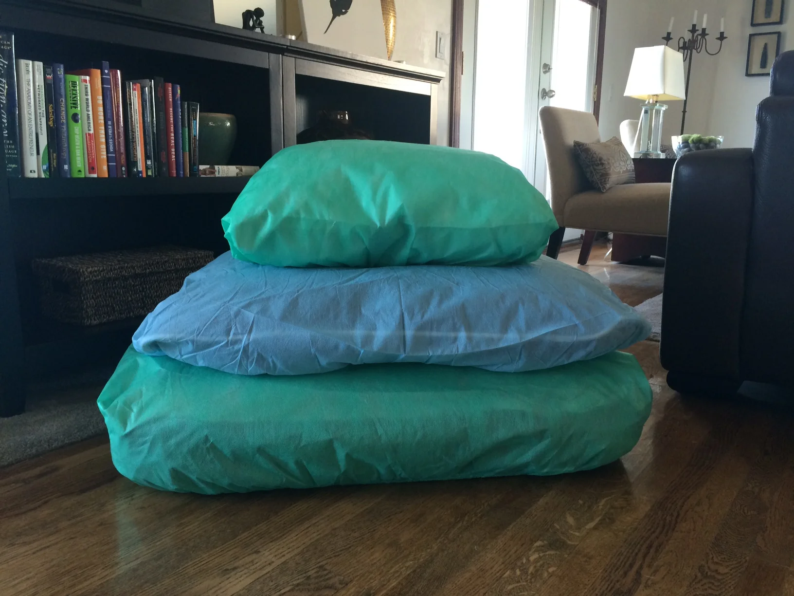 disposable dog bed covers