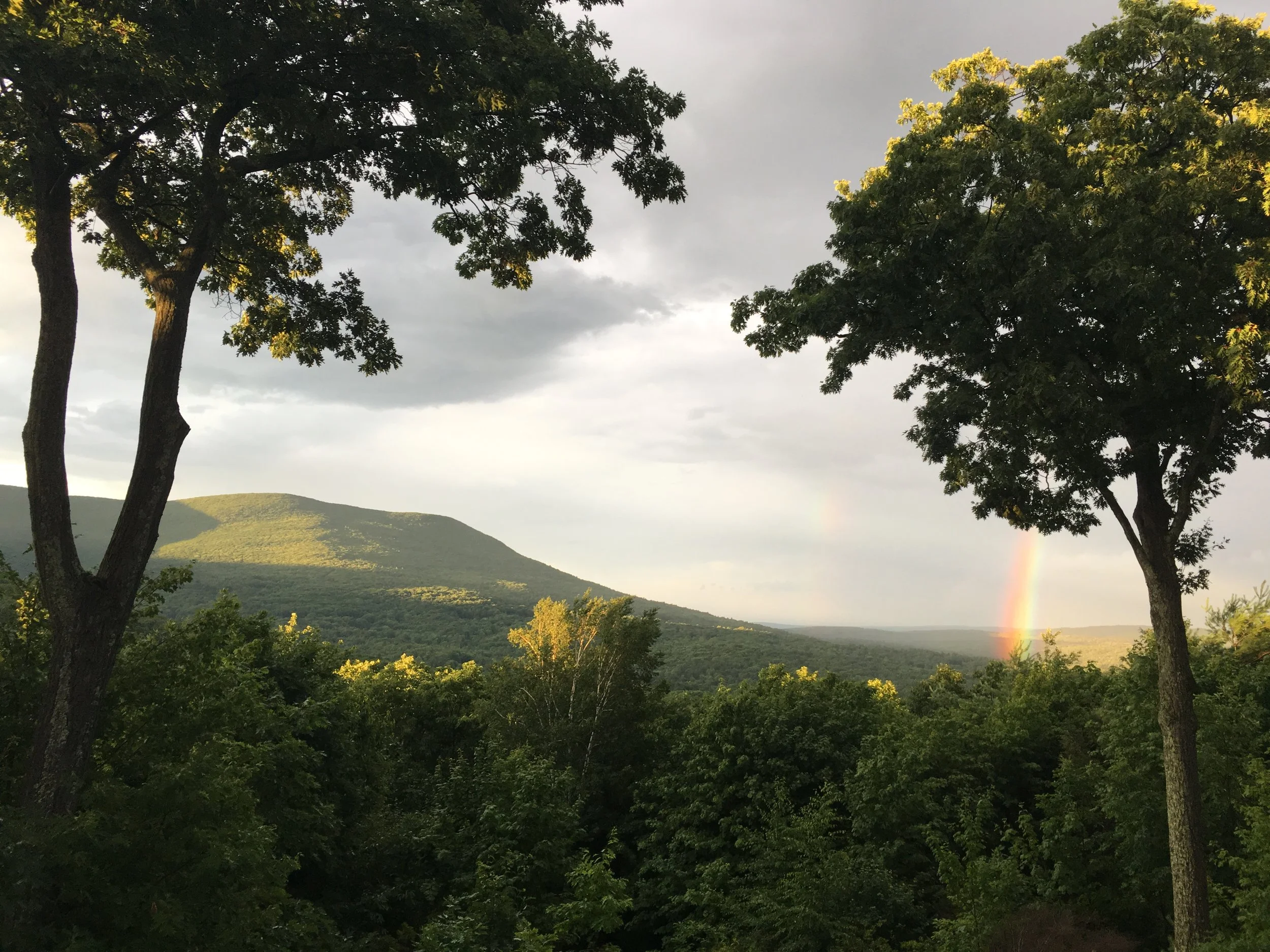 Summer rainbow from the deck