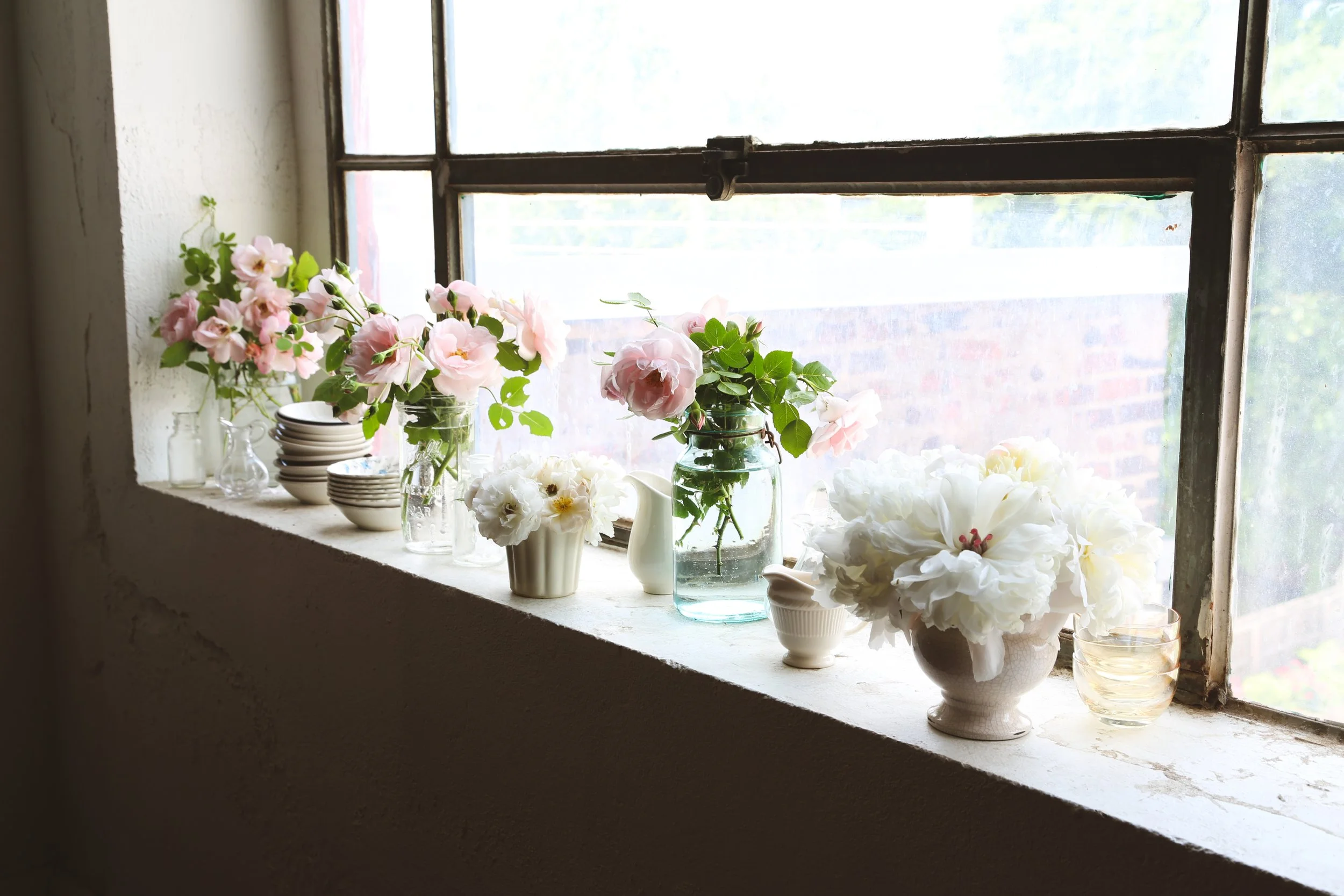 Roses_Window_PhotoAngieMosier-0051.jpg