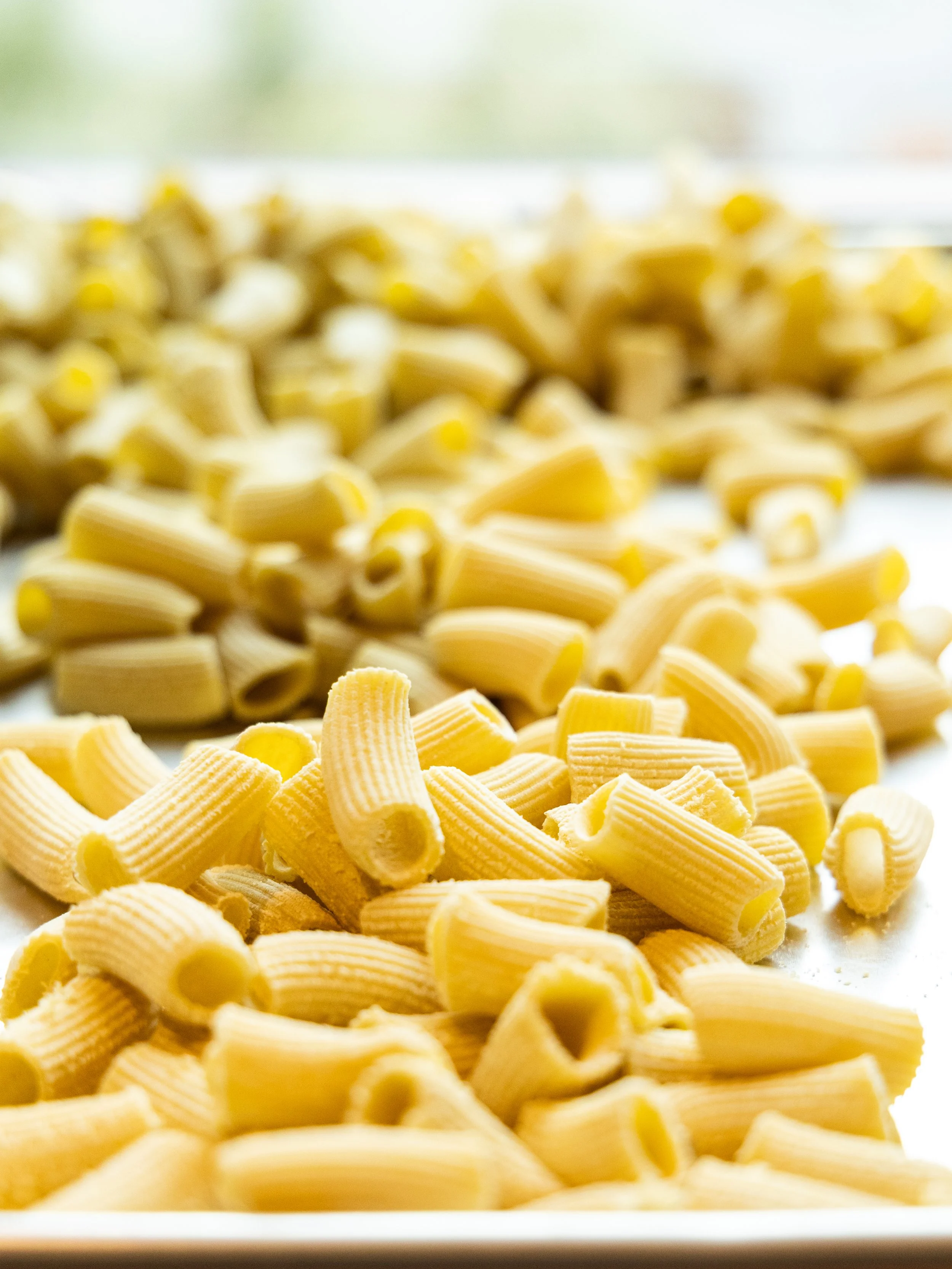 Pasta_Rigatoni_PhotoAngieMosier-4546.jpg