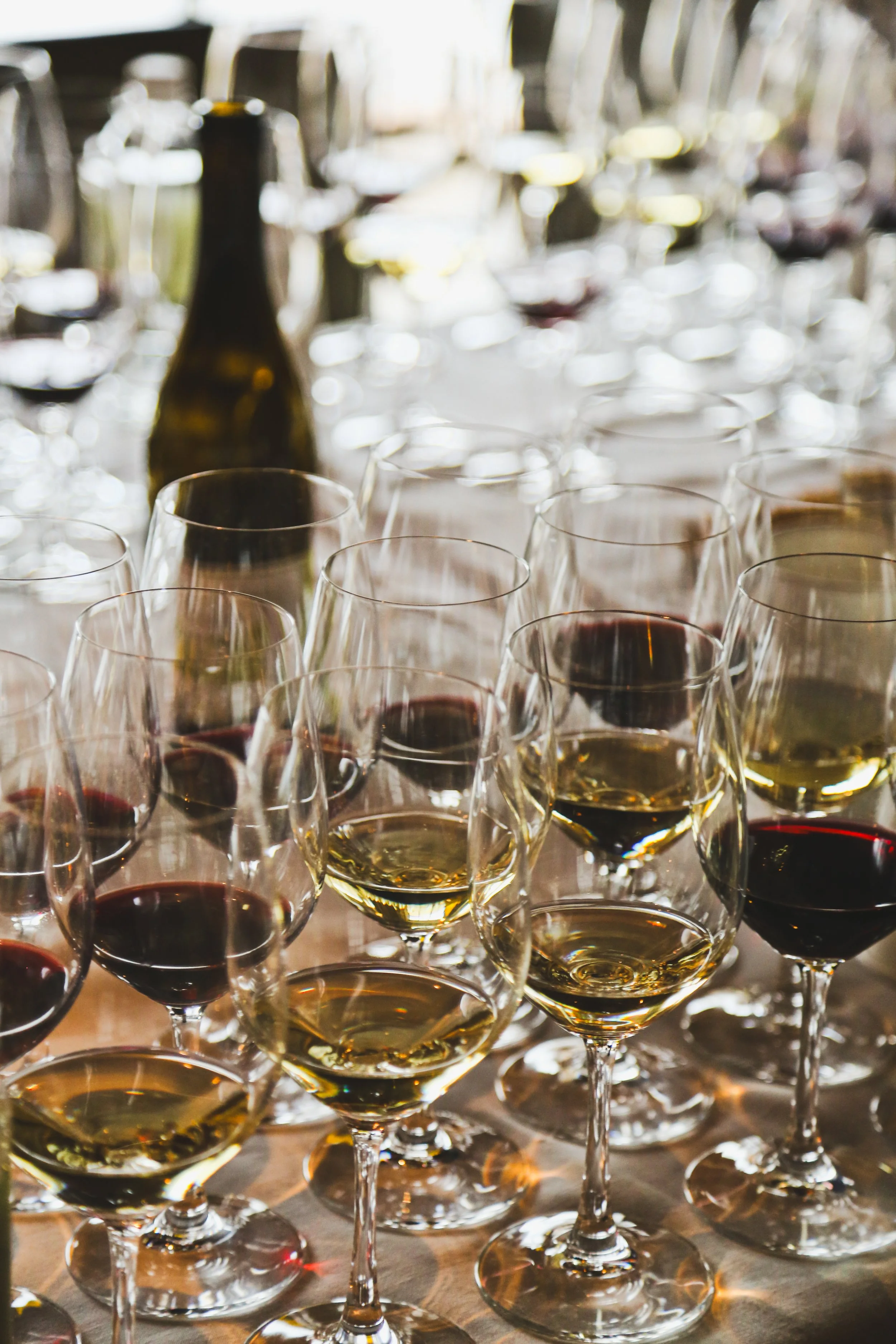 Wine_Tasting_BlackberryFarm_PhotoAngieMosier-.jpg