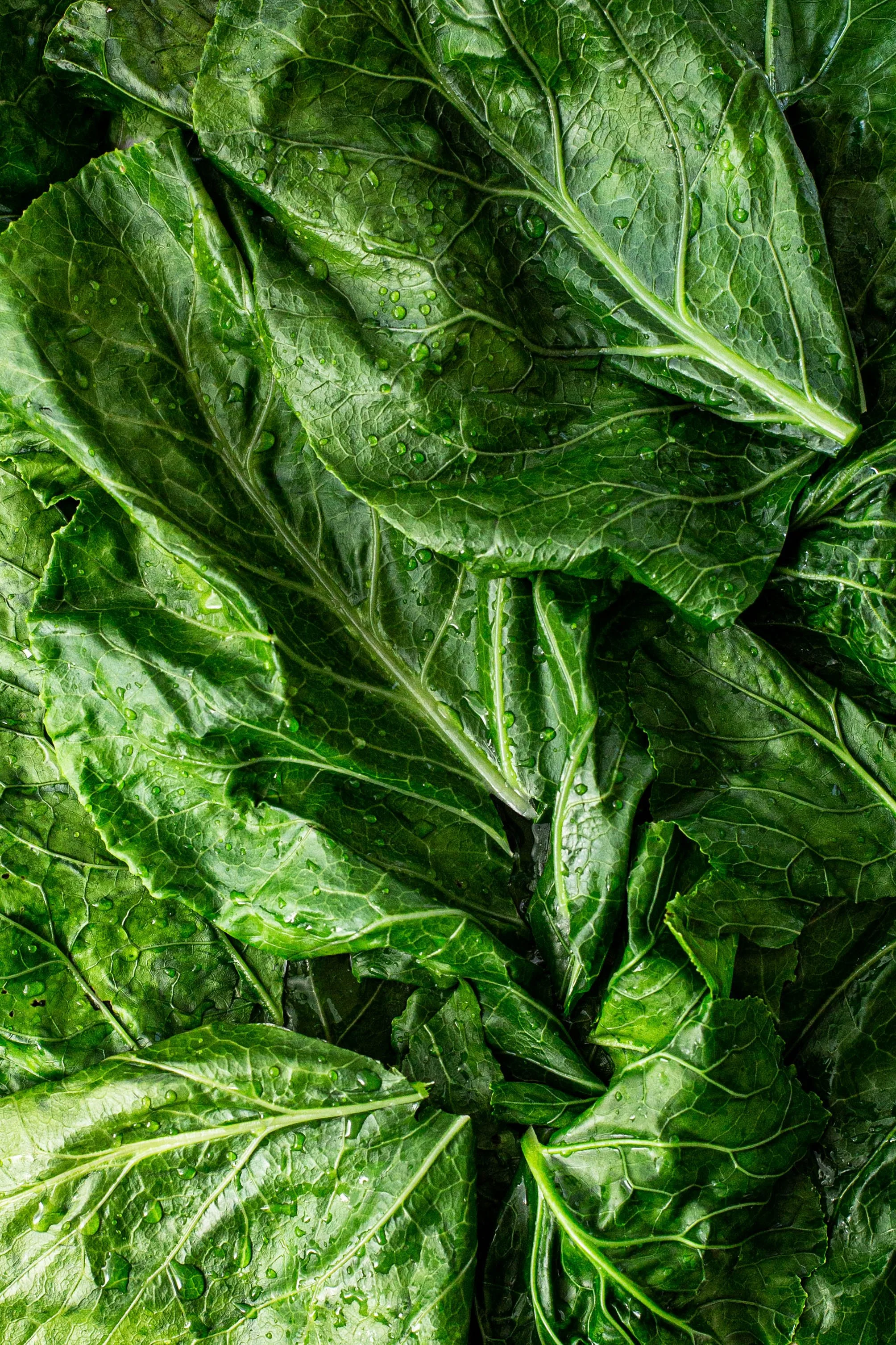 CollardGreens_Ingredient-013.jpg
