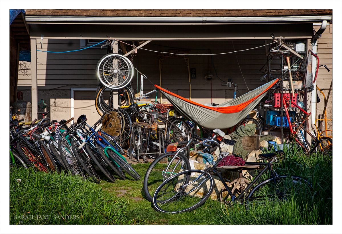 SARAH JANE SANDERS 2013_Bellingham Washington_001.jpg