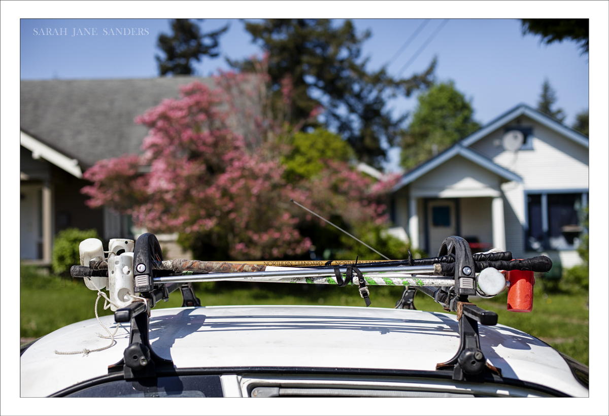 SARAH JANE SANDERS 2013_Bellingham Washington_015.jpg