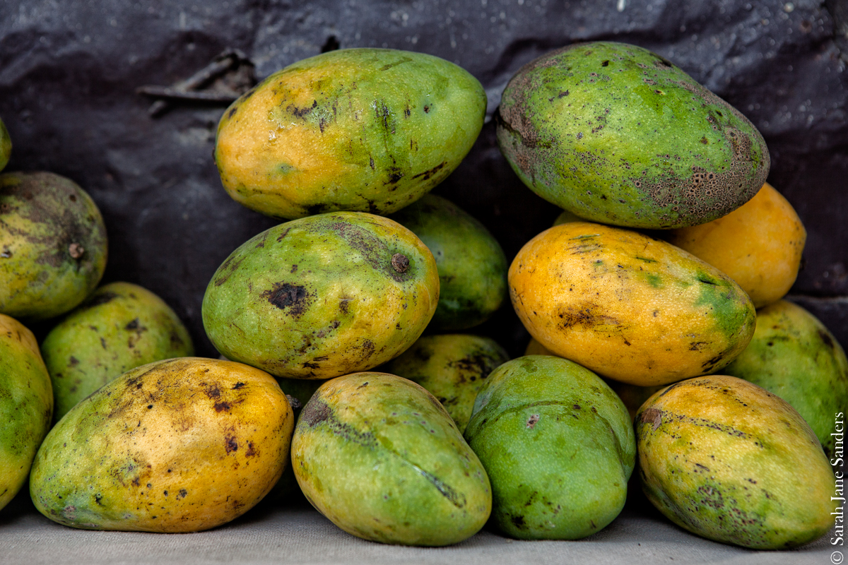 Sarah Jane Sanders_2013_Haiti_Day at the Market-5.jpg